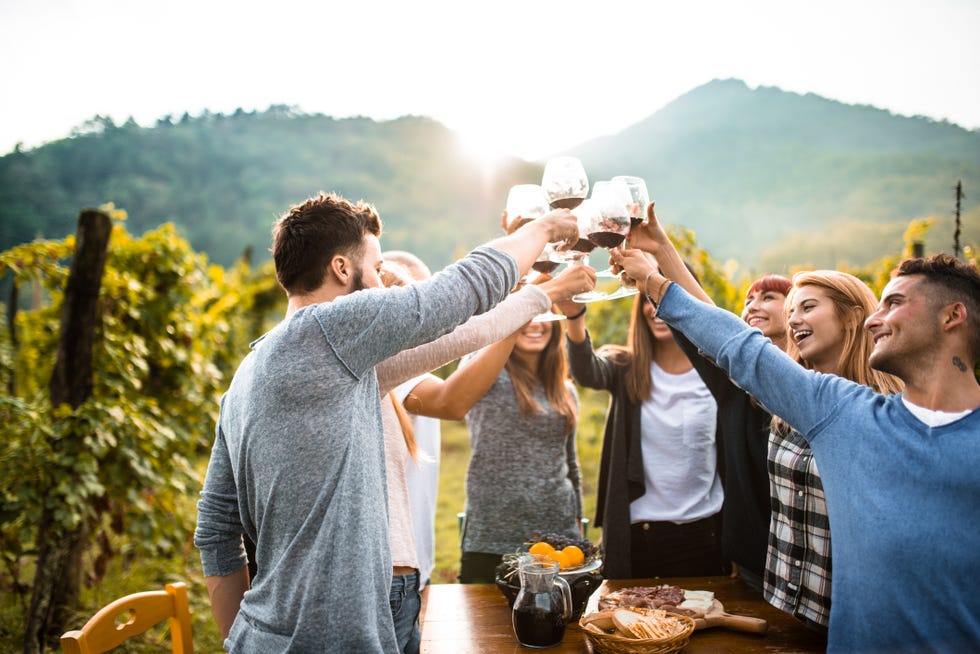 friends doing a wine tasting