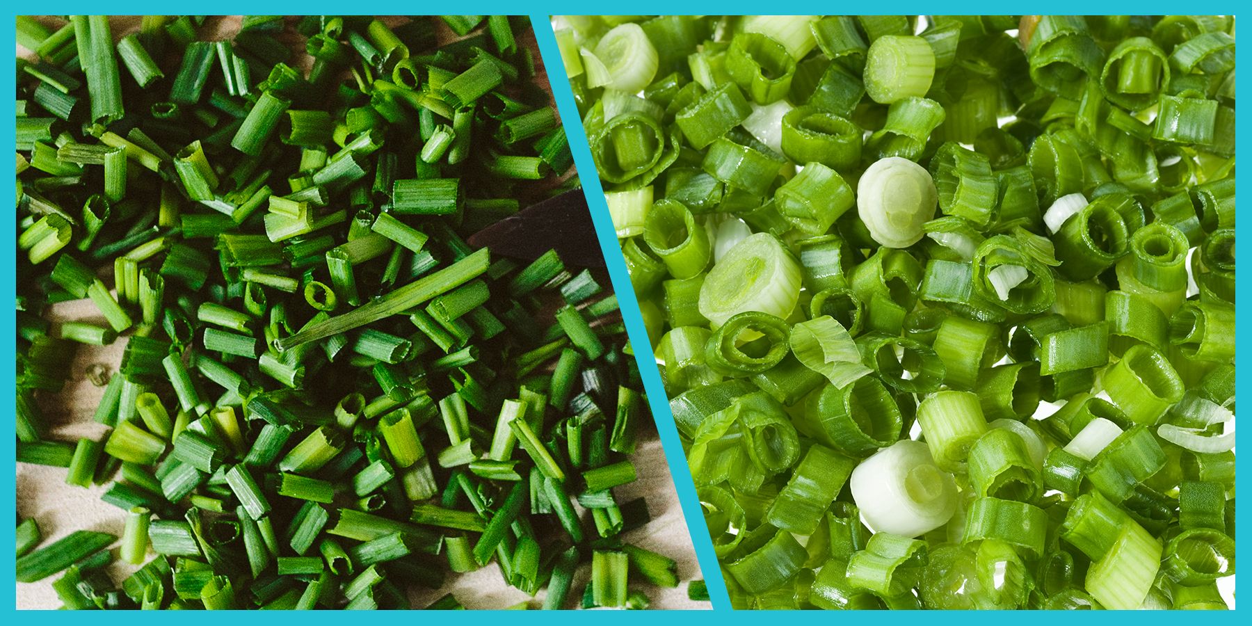 The difference between shallots, green onions, scallions and