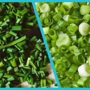 chives vs green onions