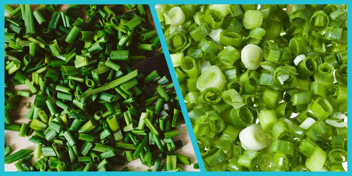 Chives Vs. Green Onions – Chives And Green Onions Differences