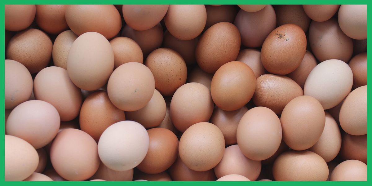 Do Eggs Need To Be Refrigerated? - The Best Way To Store Eggs