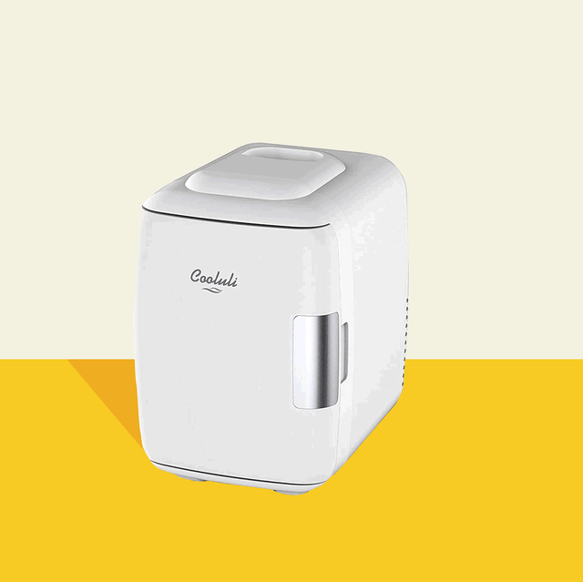 Best Mini Fridges best mini fridges