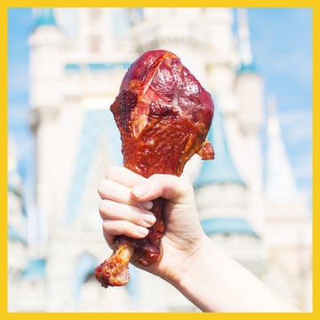 turkey leg turkey leg