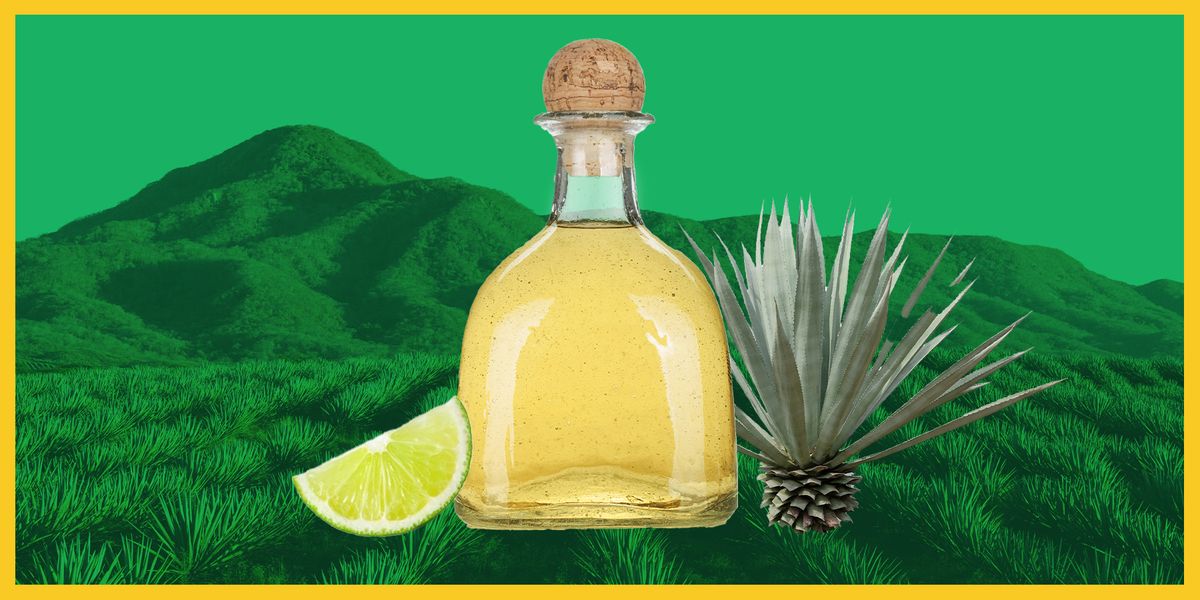5 Things You Probably Don't Know About Tequila