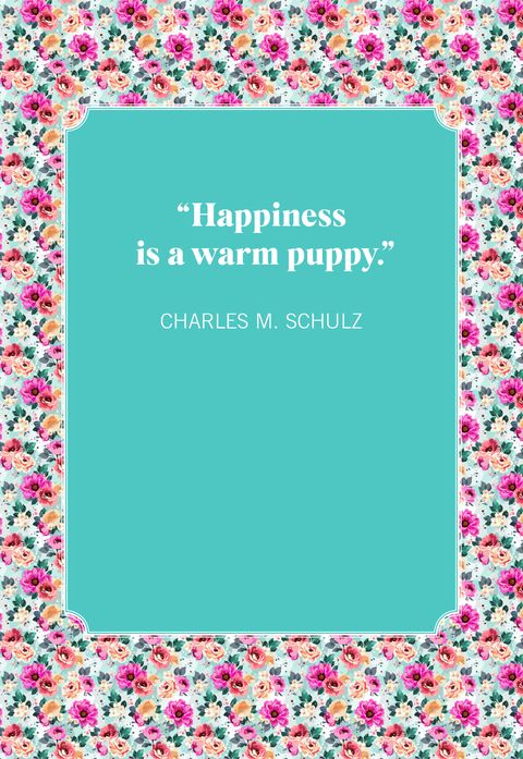 dog quotes charles m schulz