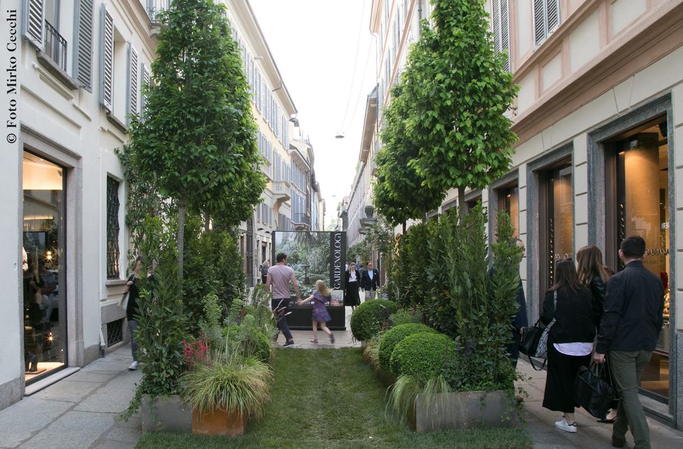Courtyard, Neighbourhood, Building, Tree, Street, Town, Mixed-use, Pedestrian, Infrastructure, Plant, 