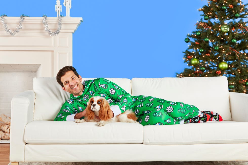 Green, Couch, Dog, Canidae, Sofa bed, Cavalier king charles spaniel, Companion dog, Christmas tree, Furniture, Home, 