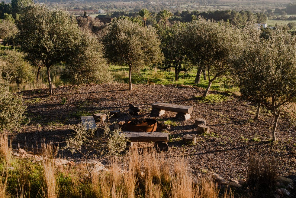 stable in Ibiza