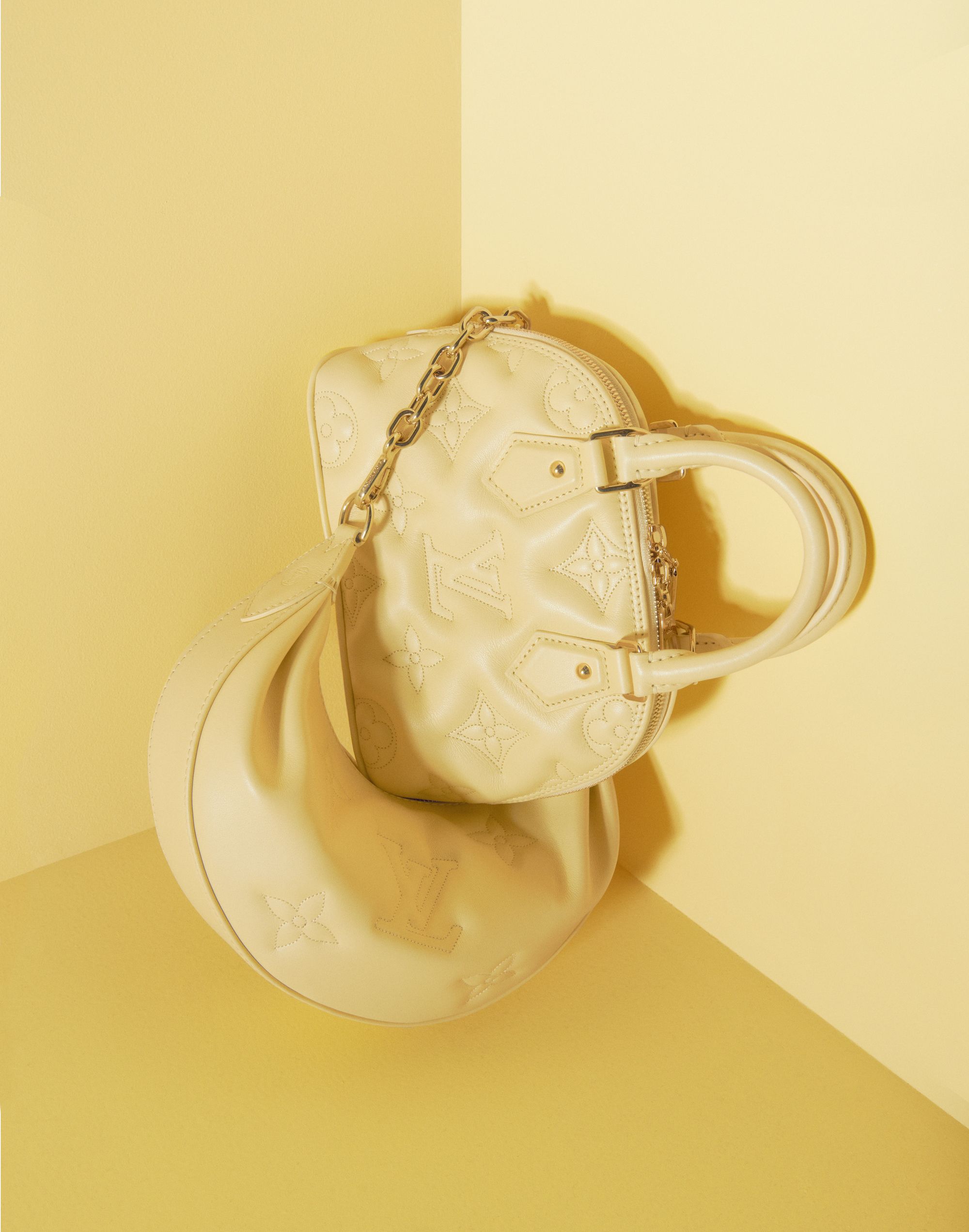 Louis Vuitton Tassen voor Dames • Nieuwe collectie •