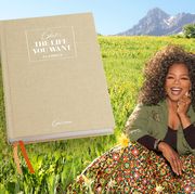 oprah's the life you want planner