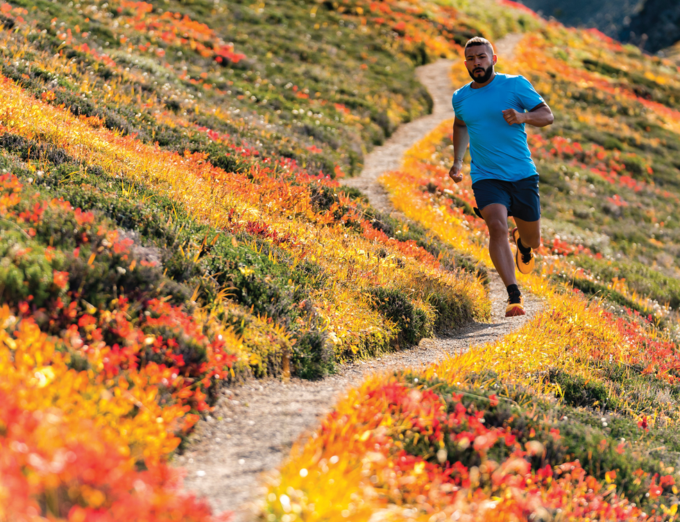 2023 runner's world wall calendar