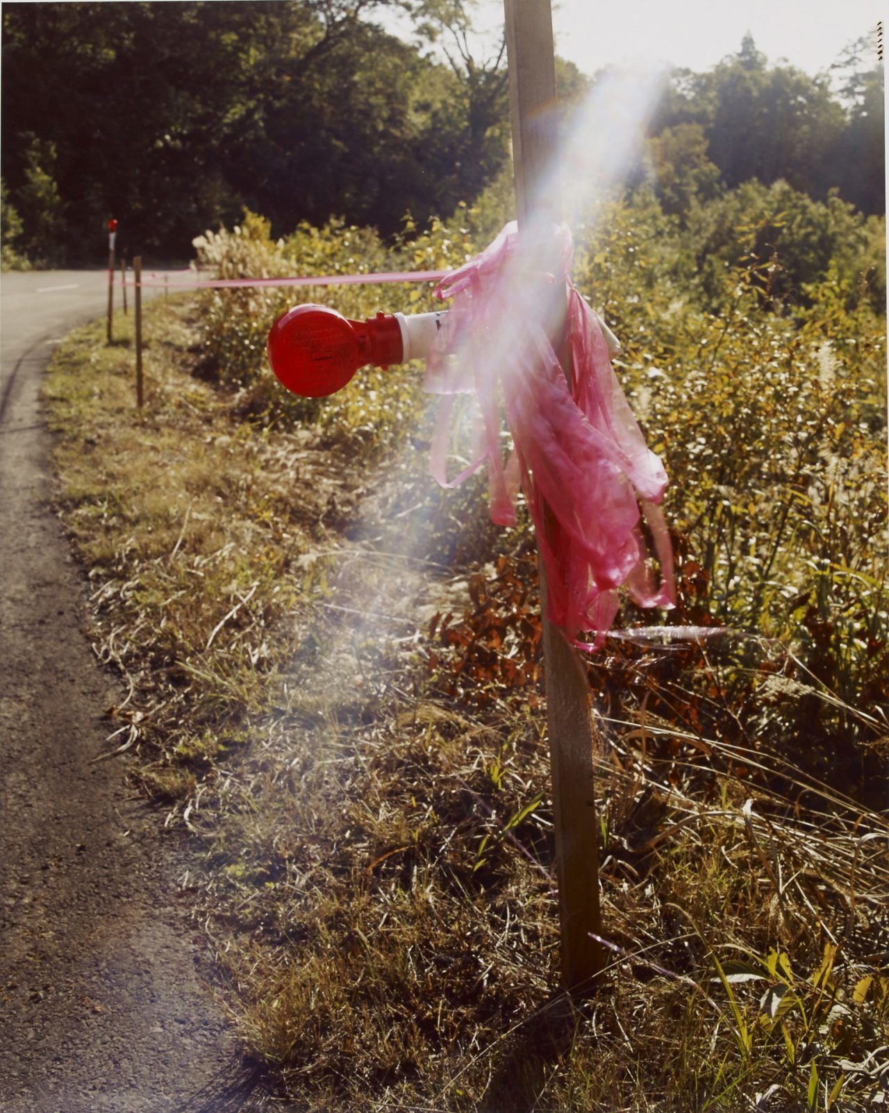 写真家・髙橋恭司の個展「Ghost」作品集