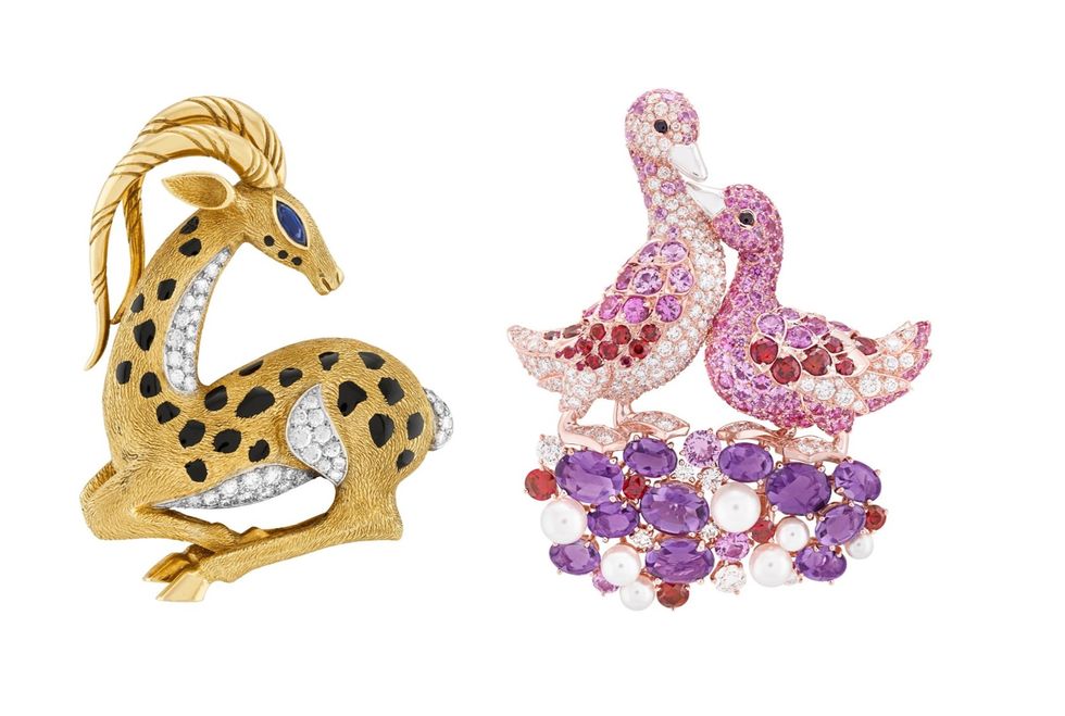 heritage系列antilope胸針，1971年與canards胸針
all by van cleef  arpels。
