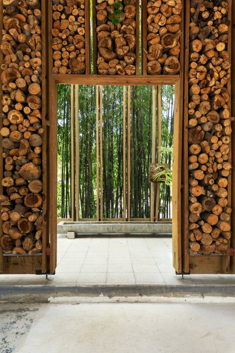 Wood, Wall, Architecture, Door, Tree, House, Window, Plant, Building, Interior design, 