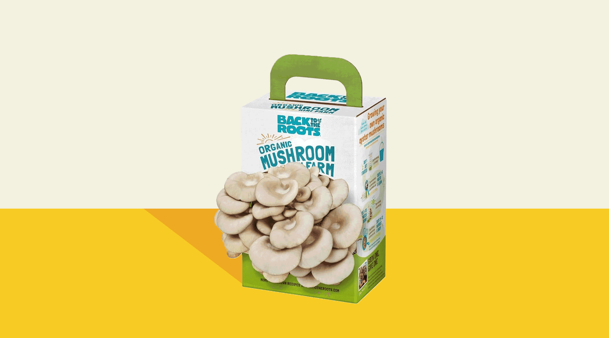 delish foodie gifts