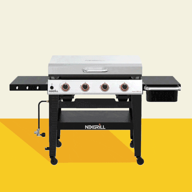 8 Best Electric Grills and Griddles for Indoors and Patio Cooking