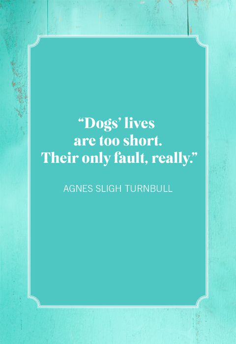 dog quotes agnes sligh turnbull