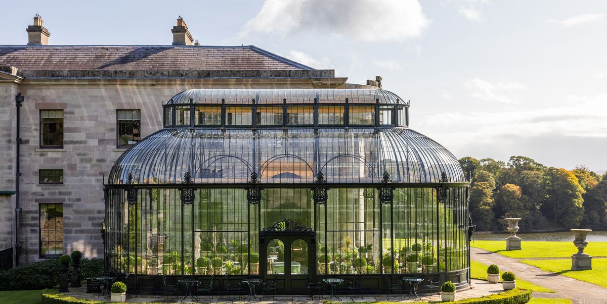 This Secret Irish Conservatory Has Reopened, and It Needs Its Own TV Show