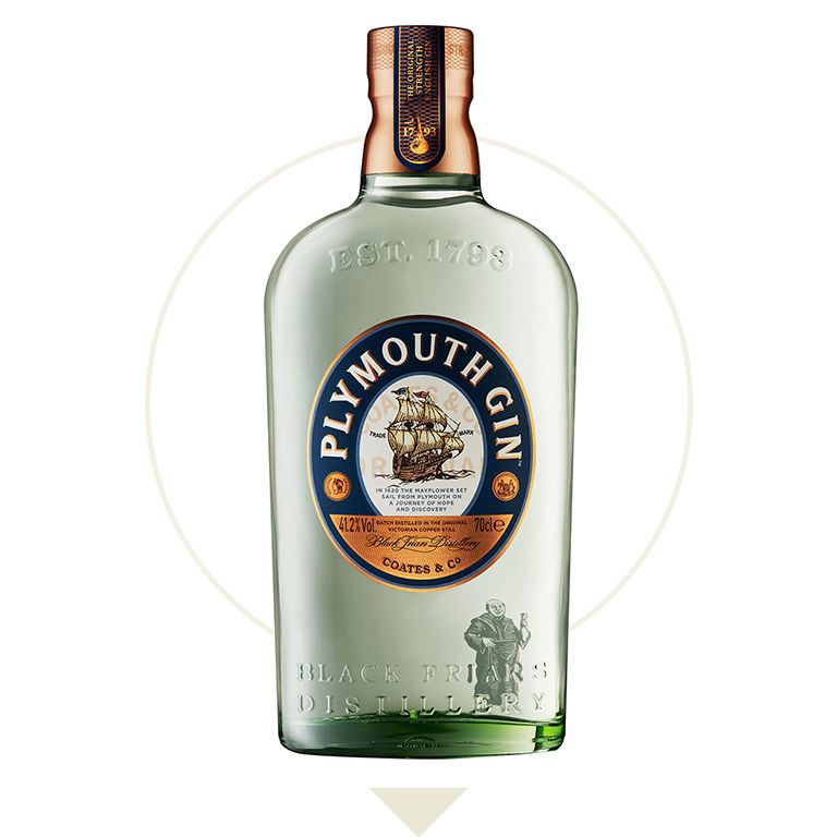 27 Best Gin Brands 2023 - Top Gin Bottles To Buy Right Now