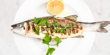 how healthy is it to eat fish every day