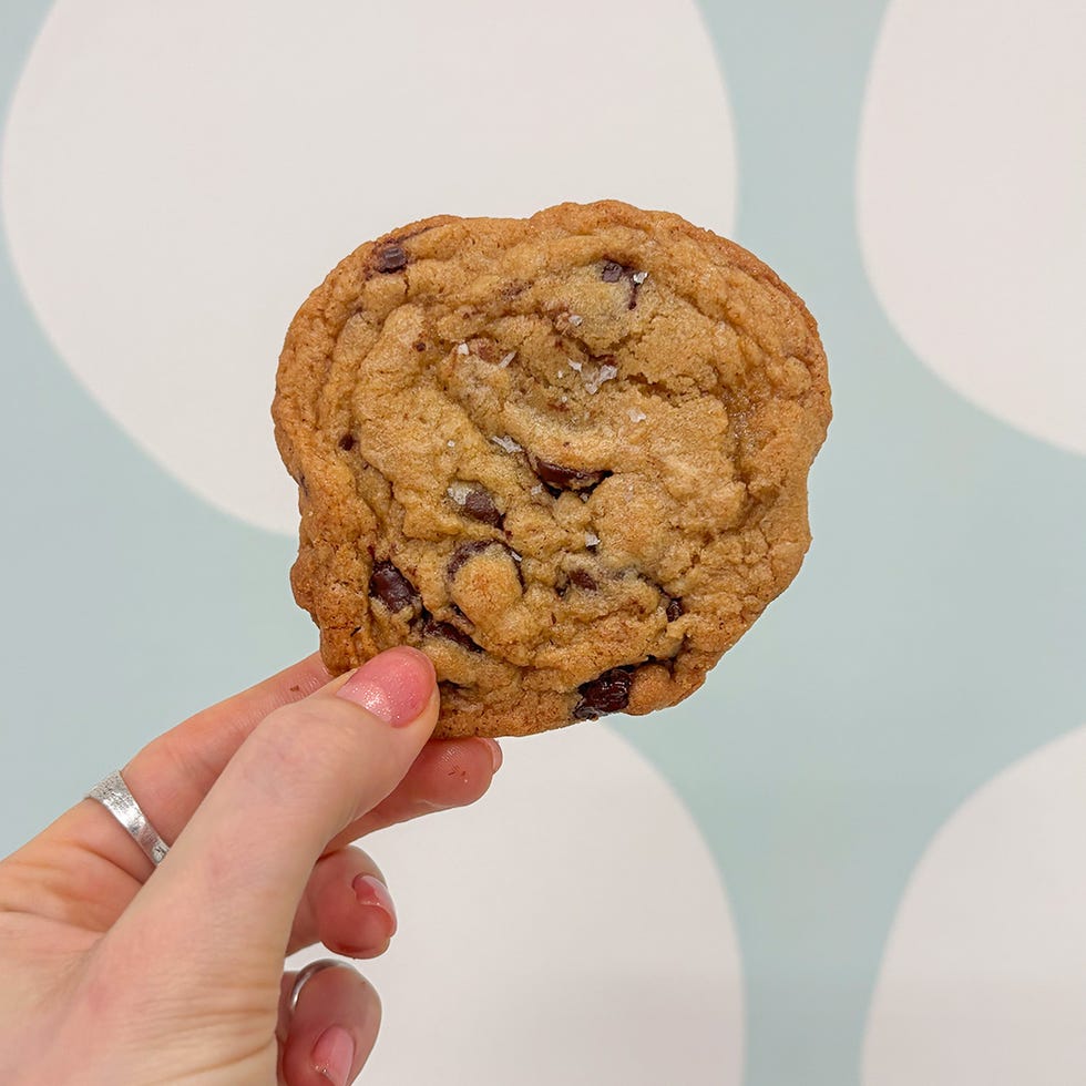 hand holding a chocolate chip cookie against a soft background