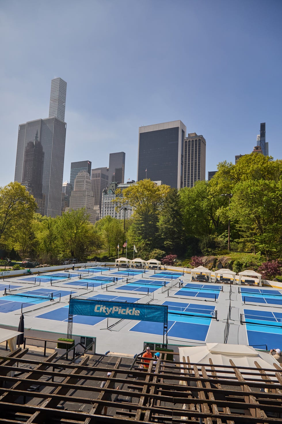 citypickle wollman rink