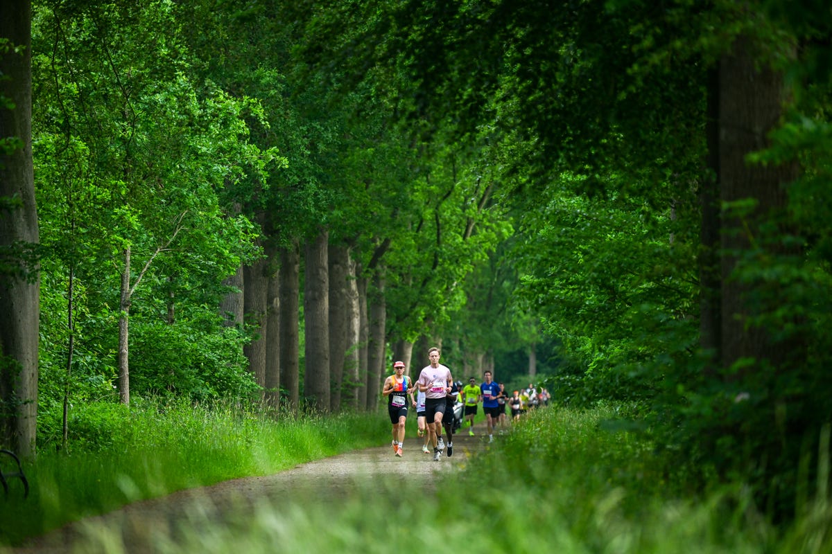 runners participating in an outdoor race along a treelined path