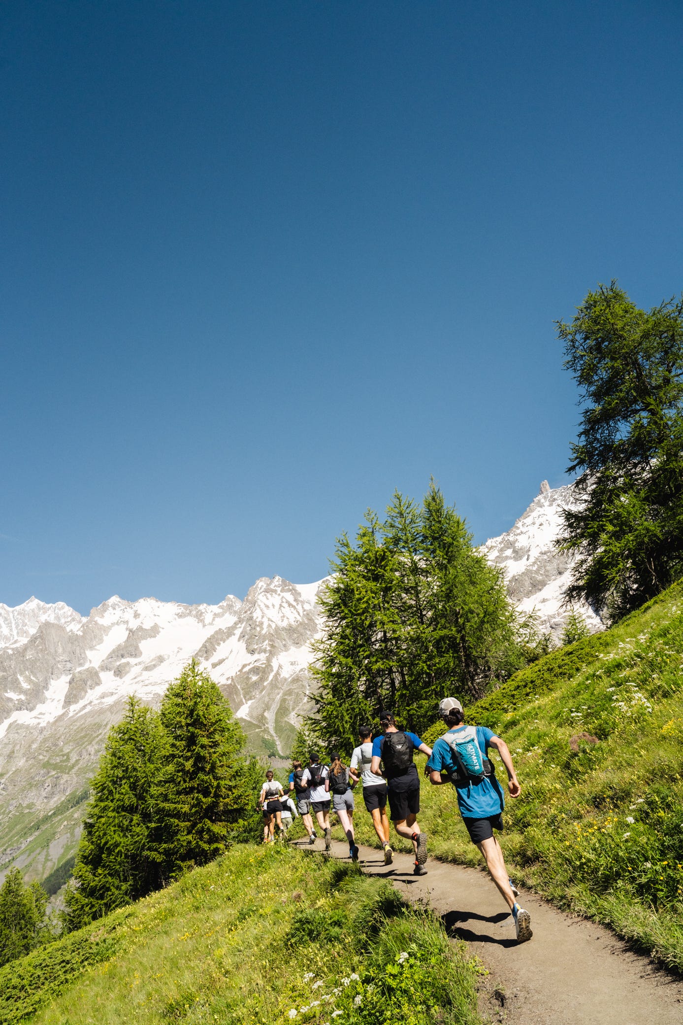 runners on a mountain trail