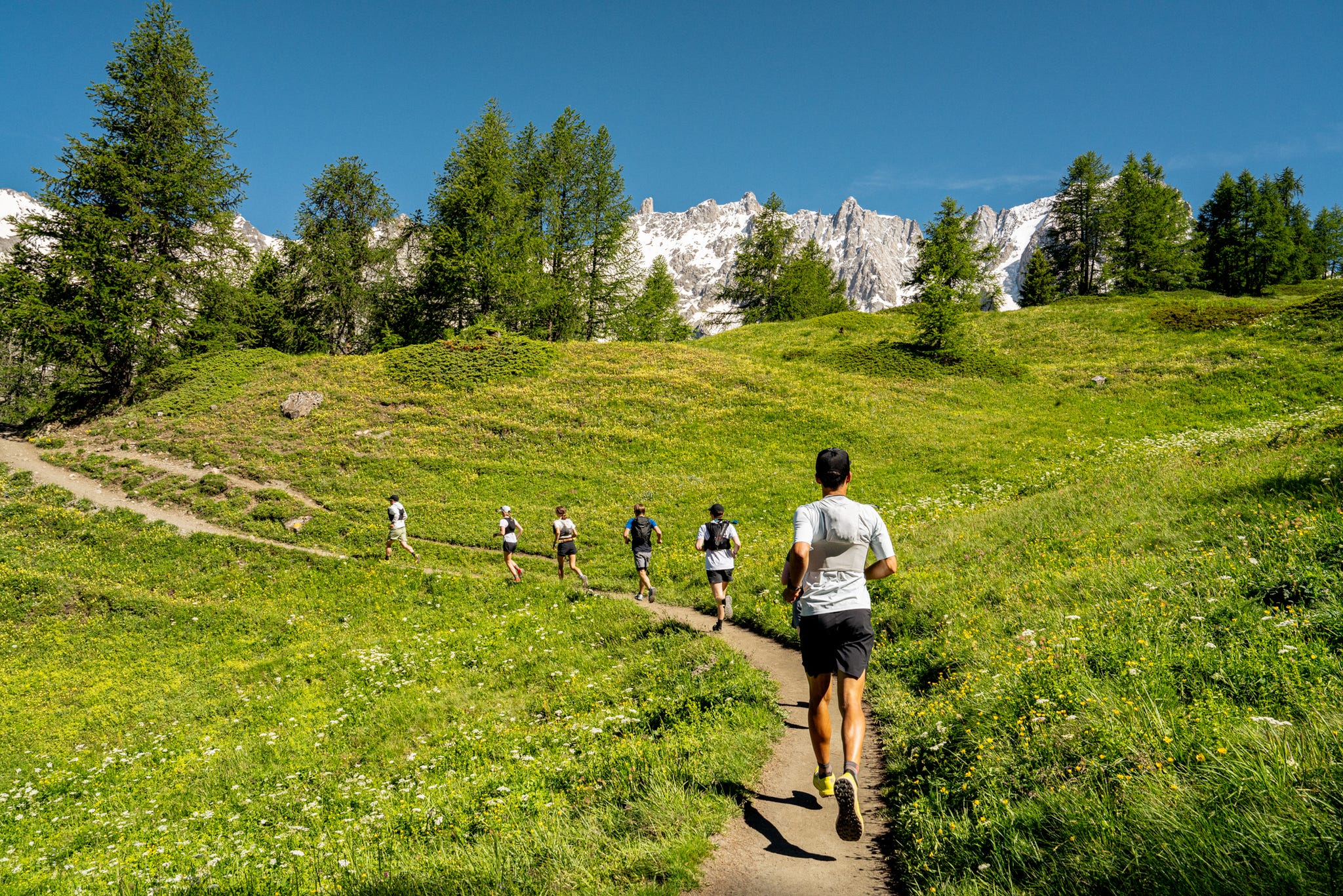 runners on a trail