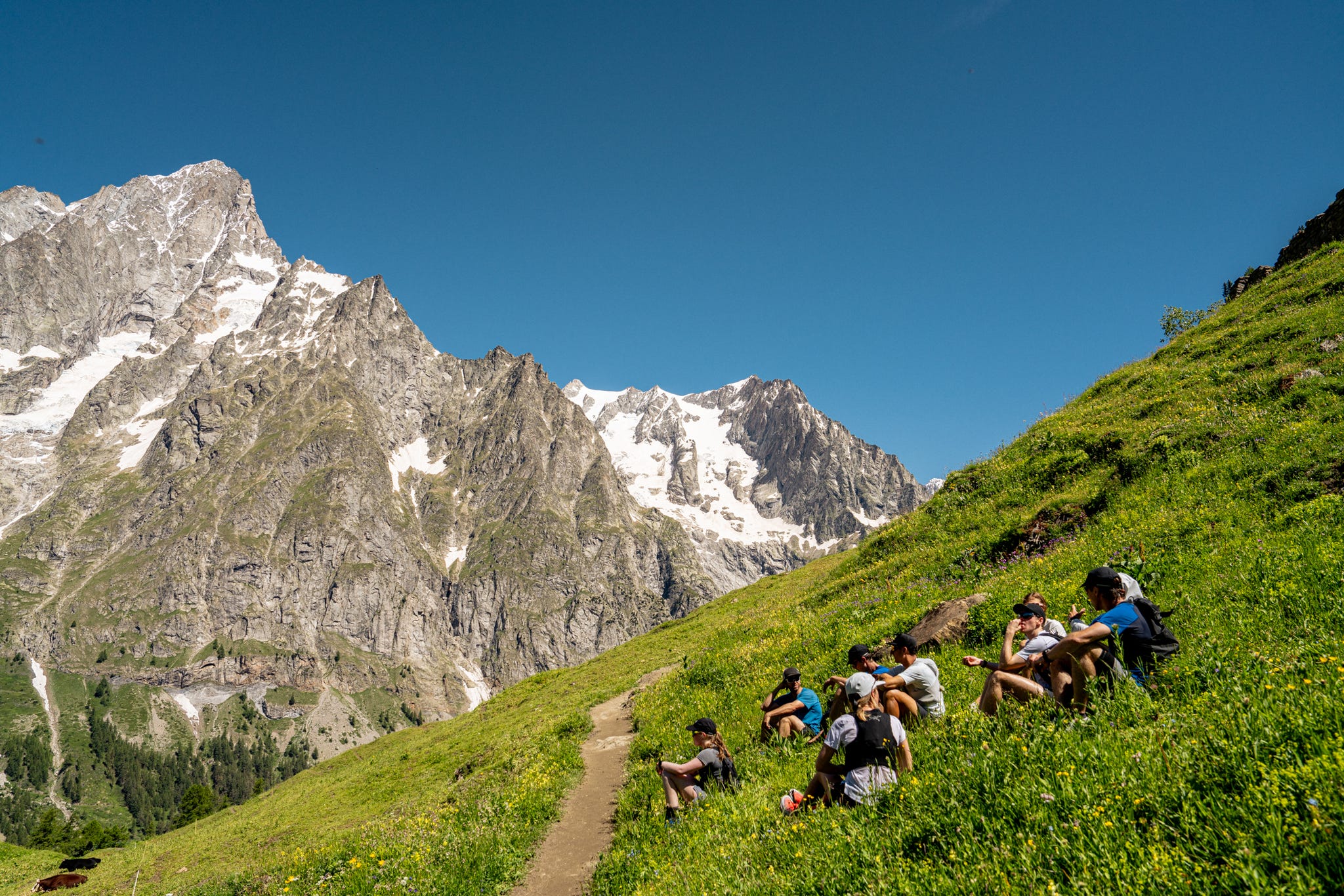 runners take a rest in the grass at the side of an alpine trail