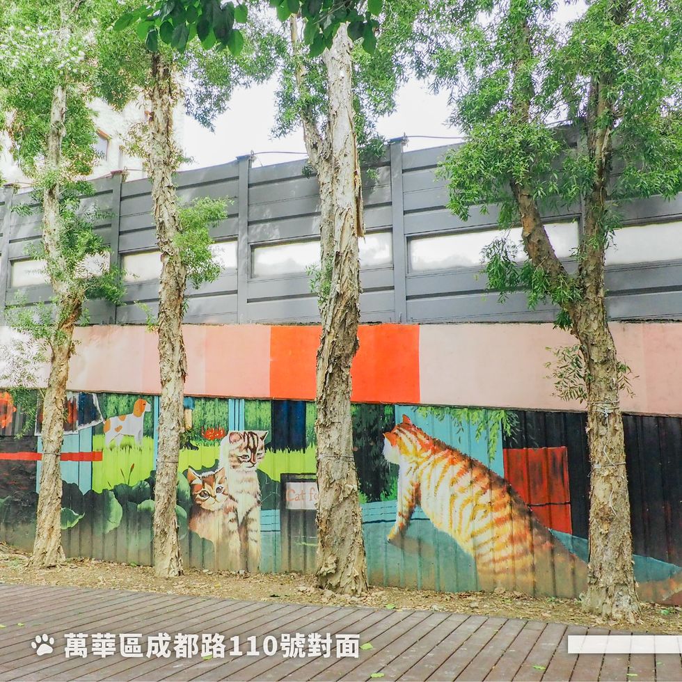 喵星人的天堂！台北首座「貓咪公園」登場，彩繪塗鴉、專屬主子的綠地、浪貓也能有個家