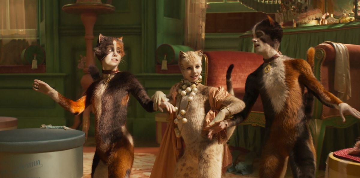 What Is Cats the Musical About?