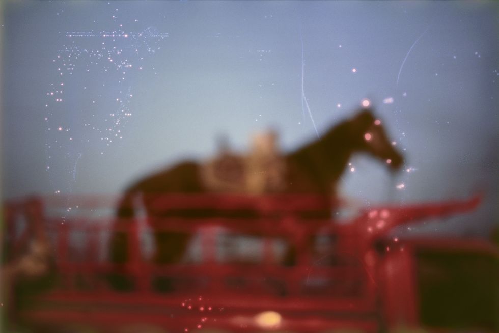 nan goldin, ﻿my horse, roma, valley of the queens, luxor, egypt