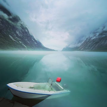 Winnaars National Geographic Fotowedstrijd 2022! Verloren Lost