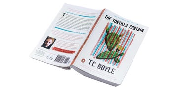 the tortilla curtain by tc boyle