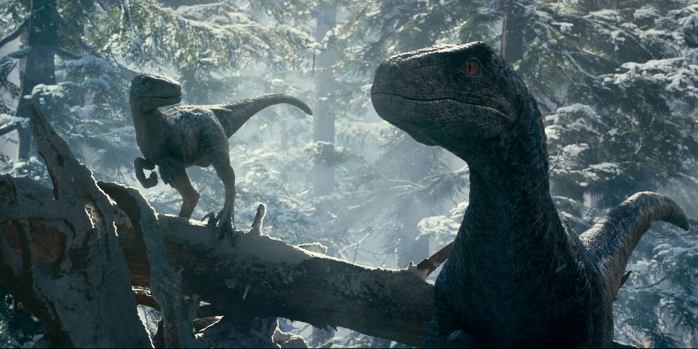 《侏羅紀世界：統霸天下》讓克里斯普瑞特與迅猛龍「小藍」重逢！克里斯普瑞特還攜手初代元老，闖蕩恐龍新紀元！