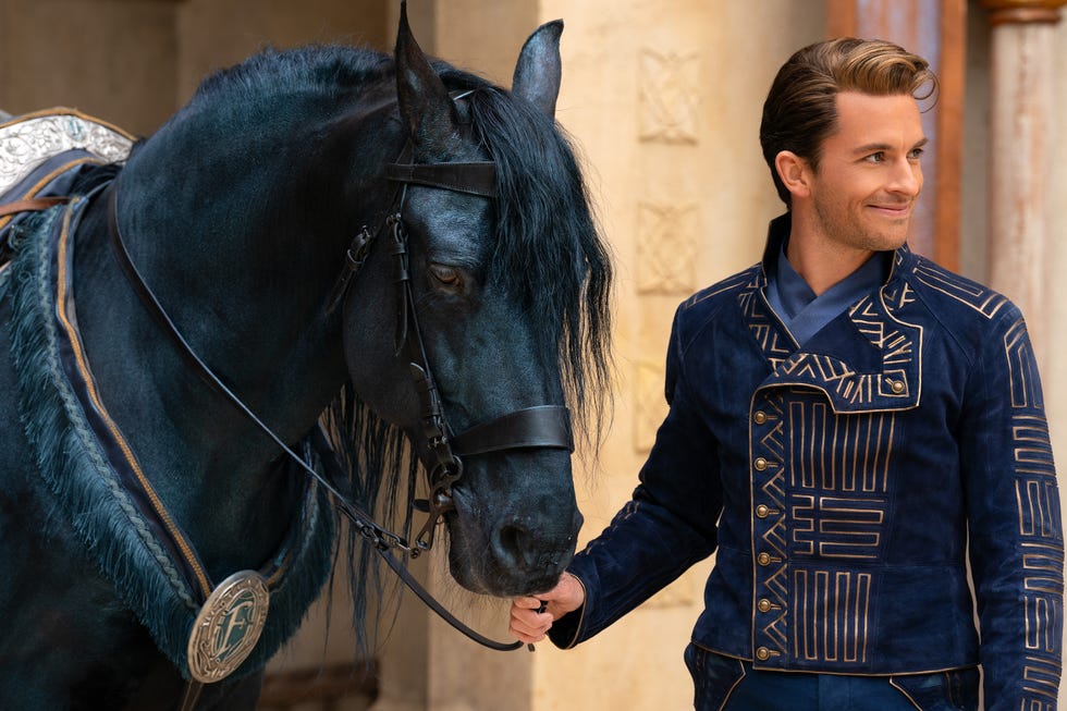 a rider stands beside a majestic black horse adorned with decorative gear
