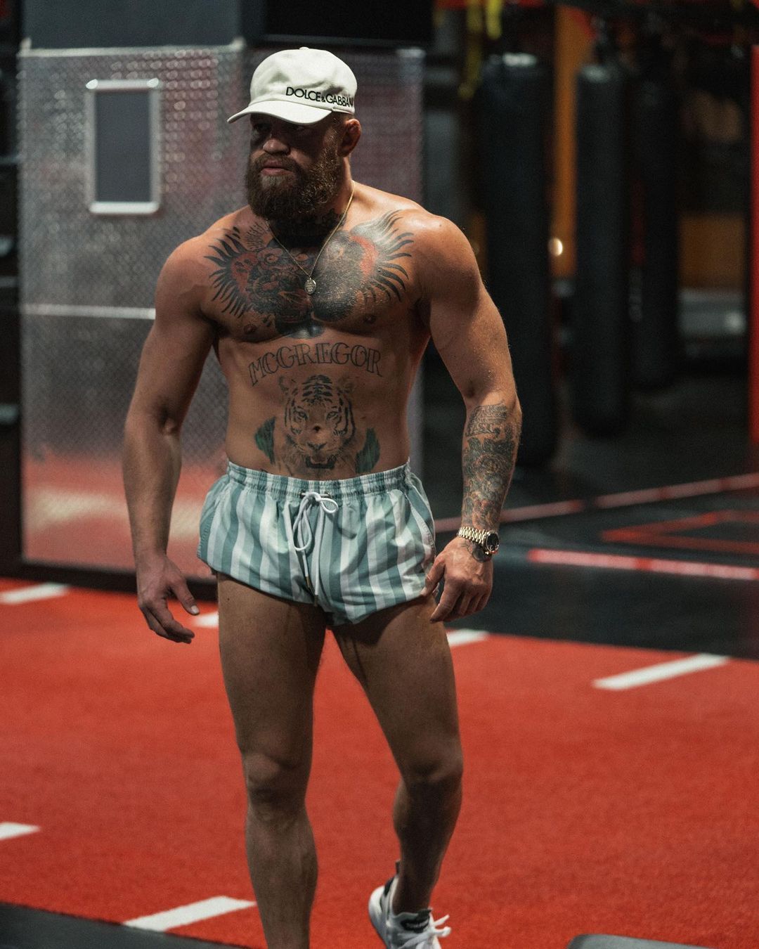 Conor McGregor Bulked Up to 86kg