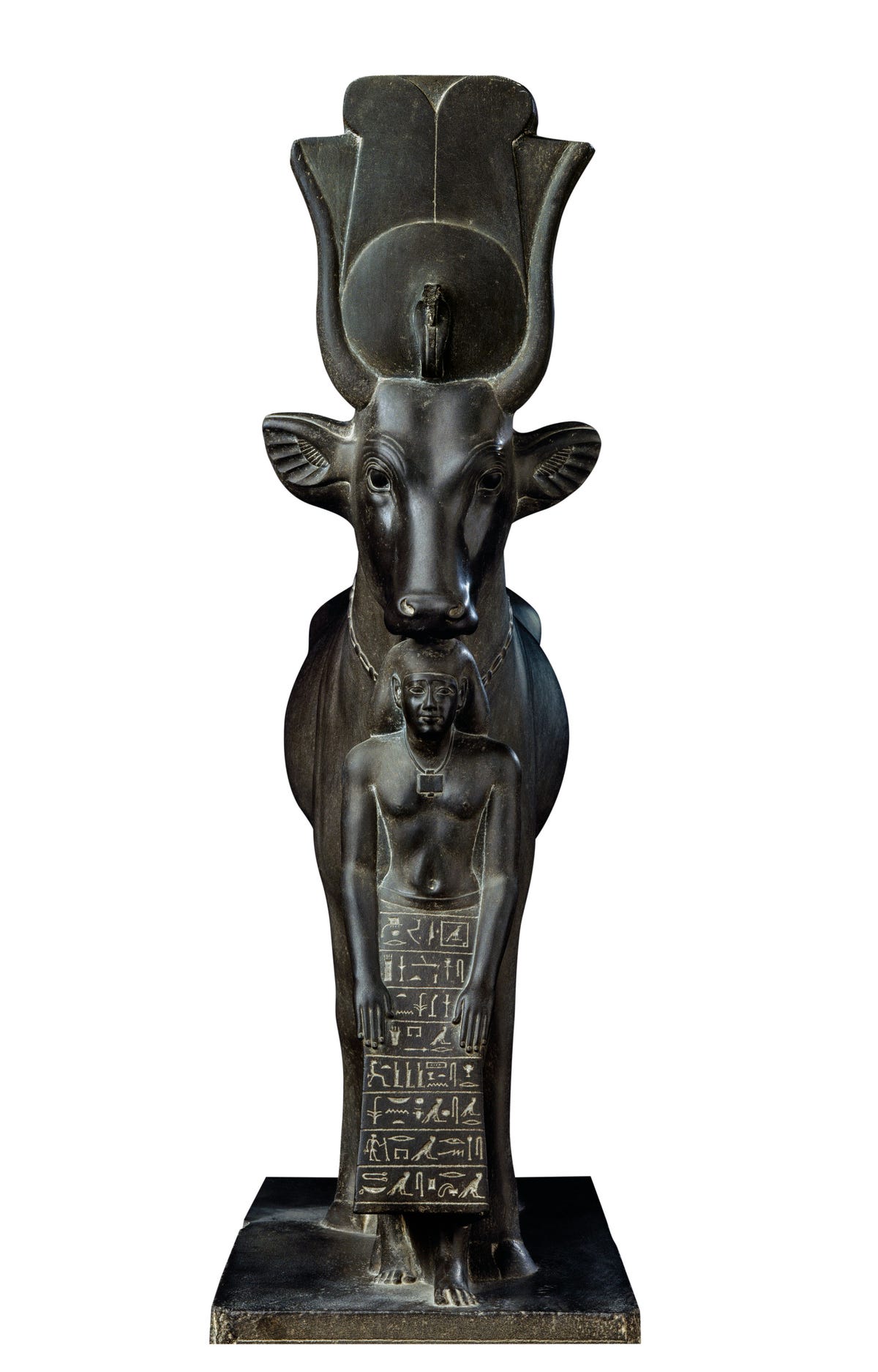 DE KOE HATHORDe koe werd in Egypte al sinds de predynastieke periode aanbeden als godin van de hemel en beschermster van de zon  Hathor betekenis het huis van Horus was ook godin van de liefde en van de muziek In dit beeld beschermt ze de schrijver PsammetichusEgyptisch Museum Caro