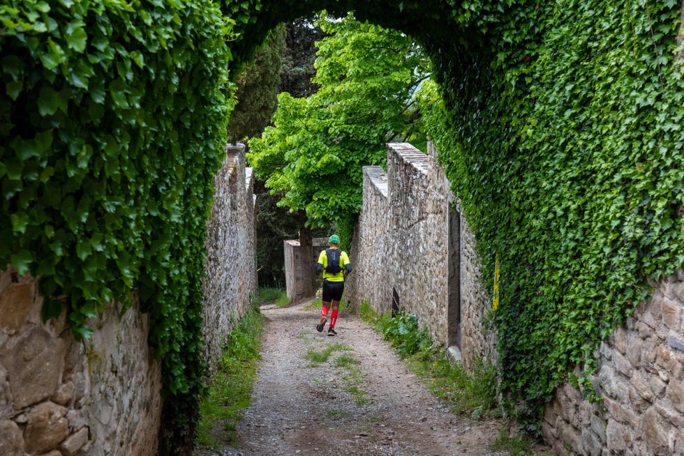 a person walking on a path between stone walls