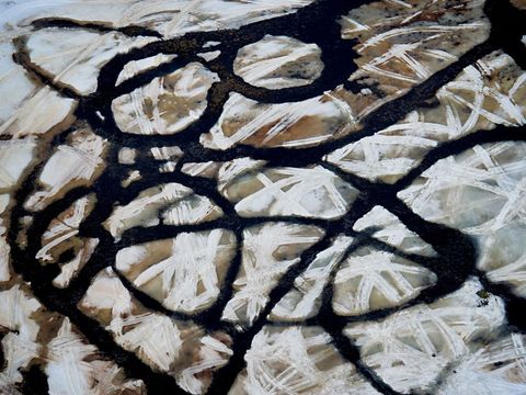 Sporen van sneeuwscooters lopen kriskras over het oppervlak van een meer waar de dooi heeft ingezet