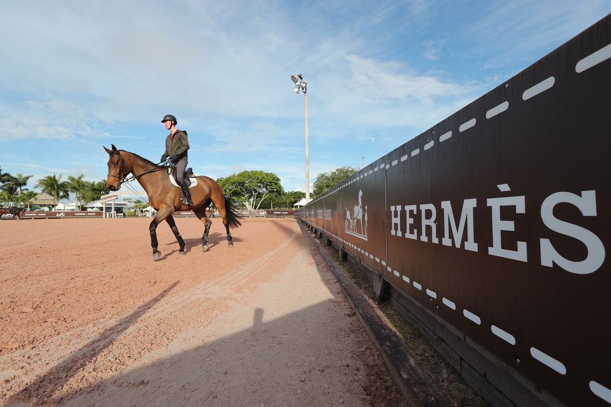 Hermes Palm Beach Horse