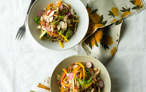 Soba Noodles with Almond Sauce and Shredded Chicken