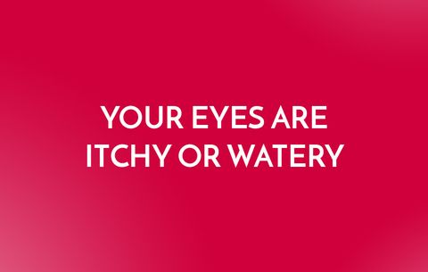 Itchy or Watery Eyes
