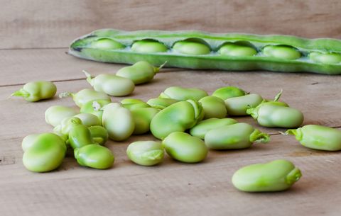 lima beans in high protein garden