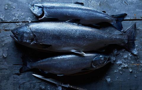 wild salmon is the healthiest, most sustainable salmon