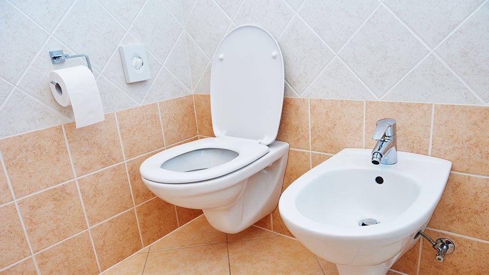 I Tried A Bidet To See If They Really Do Give Your A Squeaky Clean Rinse, And Here's What Happened | Prevention