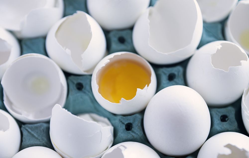 I Stopped Eating Eggs For 2 Weeks, And Here's What Happened | Prevention I Stopped Eating Eggs For 2 Weeks, And Here's What Happened | Prevention