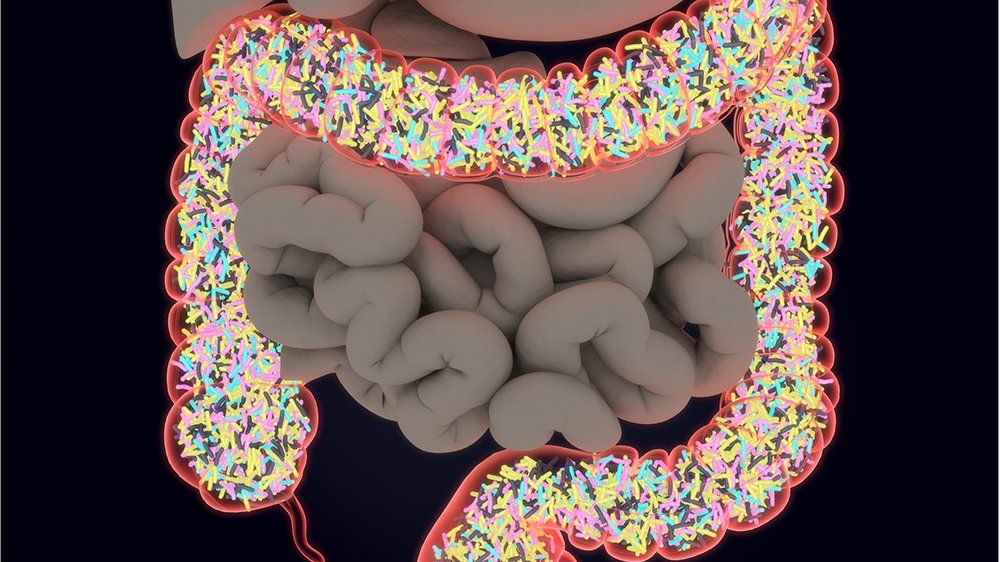 To Get To The Bottom Of Your Microbiome, Start With A Swab Of Poo : Shots -  Health News : NPR