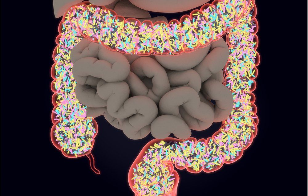 microbiome gut health